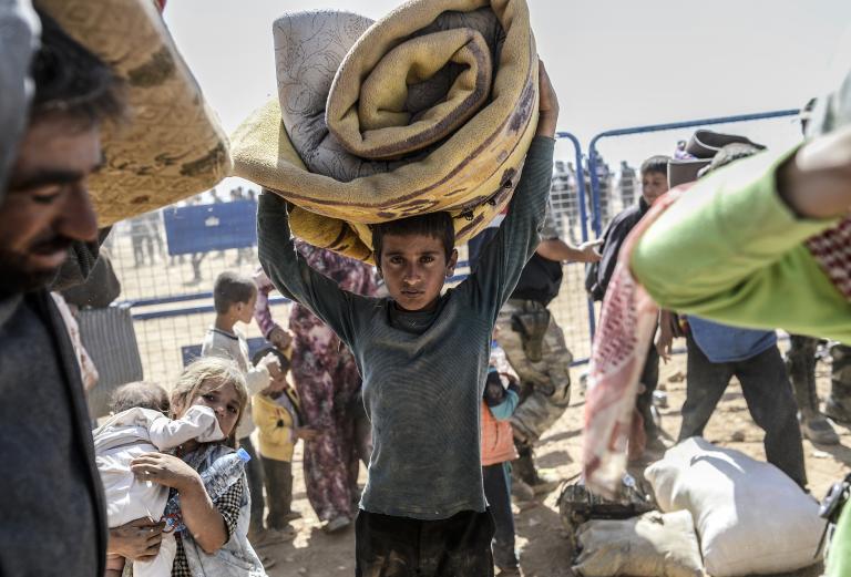 000_Par7984143-768x521