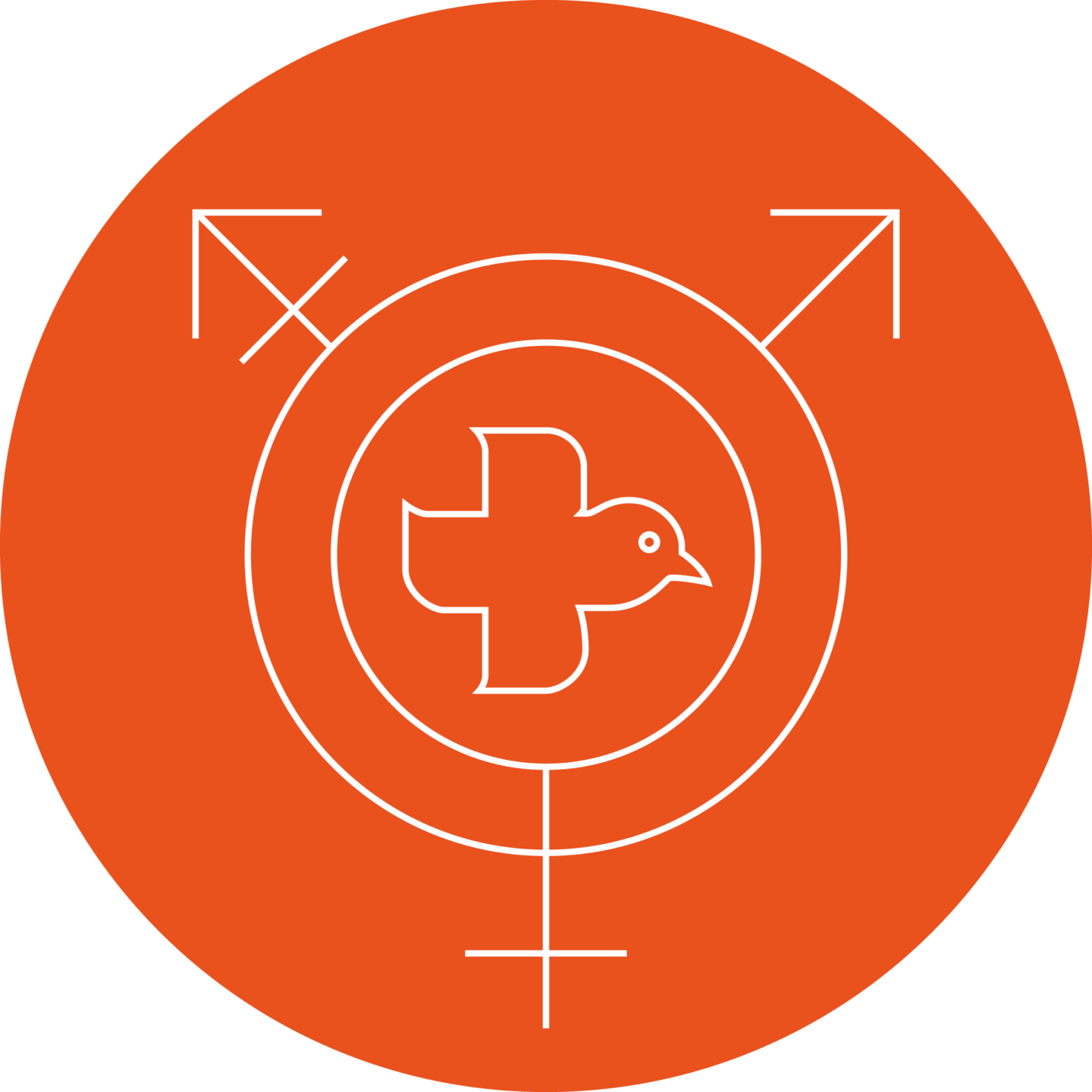 focus-areas-sexual and reproductive health and rights