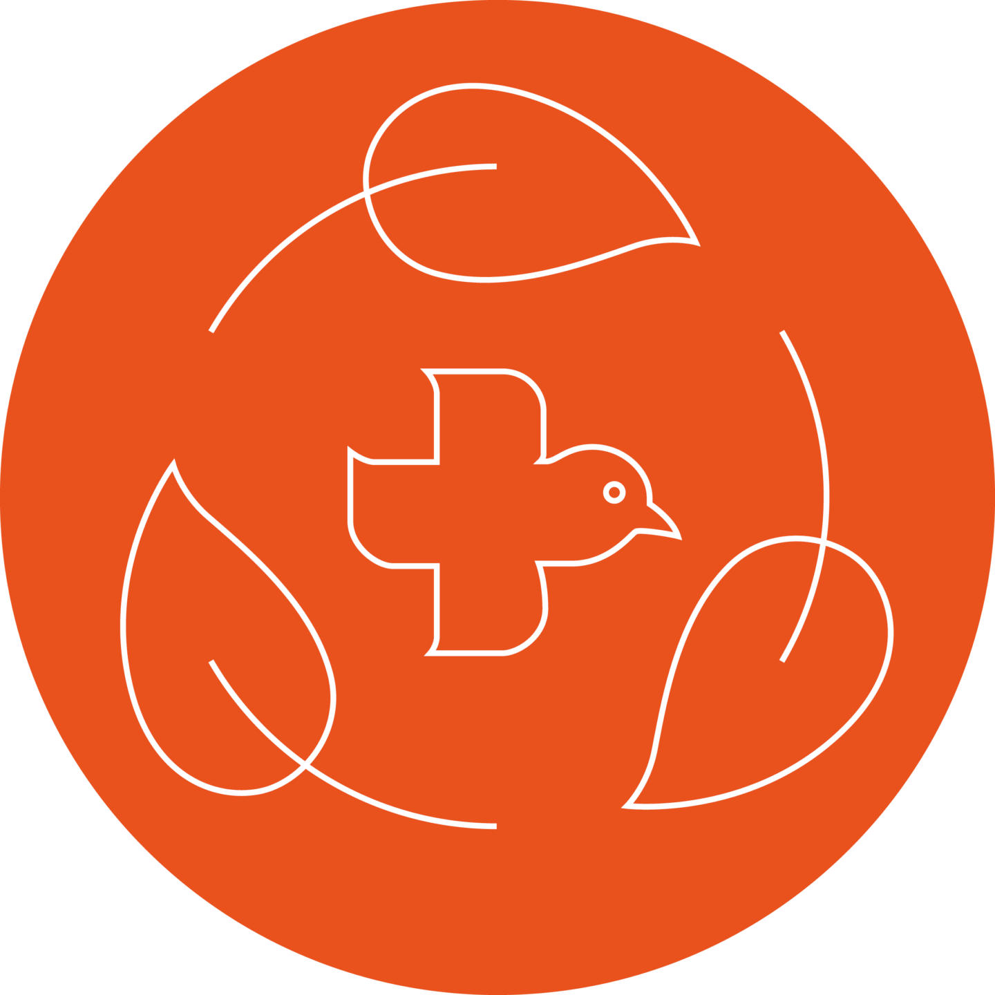 focus-areas-environment-and-health